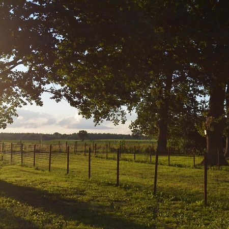 Ferienhaus Grafenland Dersum Luaran gambar